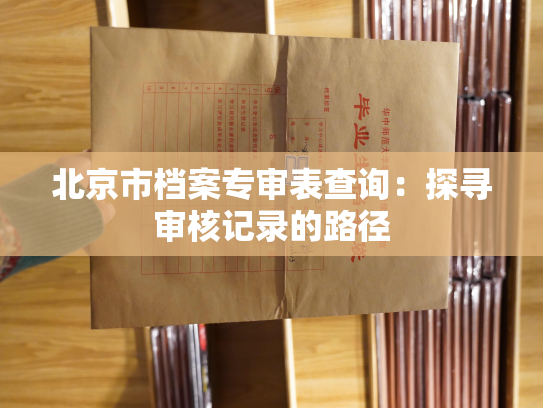北京市档案专审表查询：探寻审核记录的路径