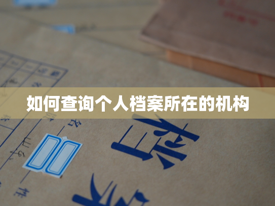 如何查询个人档案所在的机构