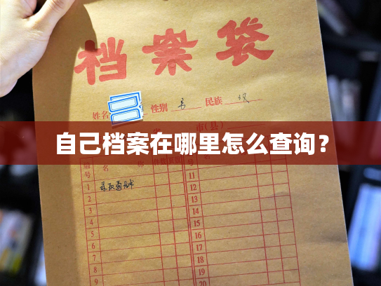 自己档案在哪里怎么查询？