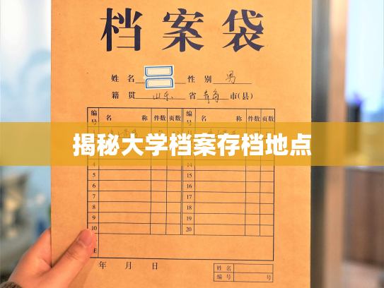 揭秘大学档案存档地点