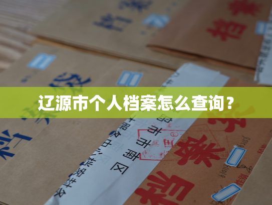 辽源市个人档案怎么查询？