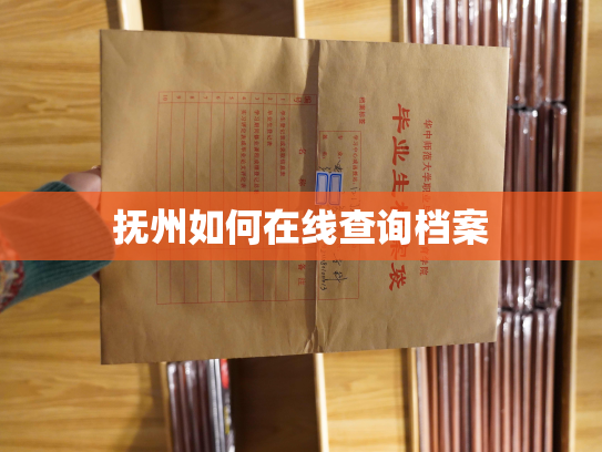 抚州如何在线查询档案