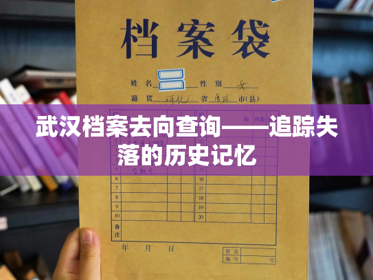 武汉档案去向查询——追踪失落的历史记忆