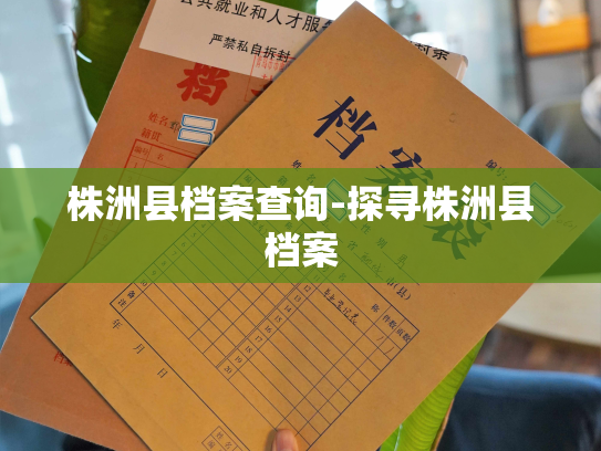 株洲县档案查询-探寻株洲县档案