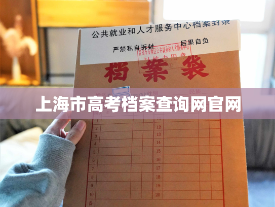上海市高考档案查询网官网