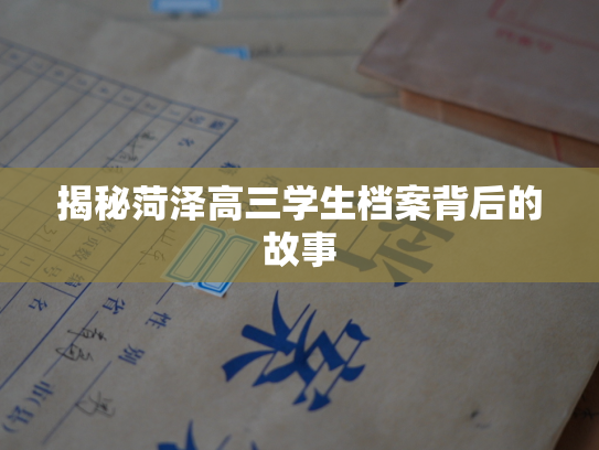 揭秘菏泽高三学生档案背后的故事