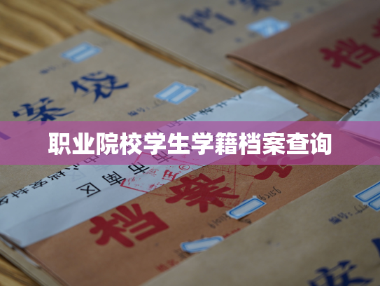 职业院校学生学籍档案查询