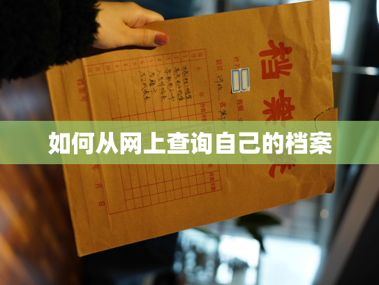 如何从网上查询自己的档案