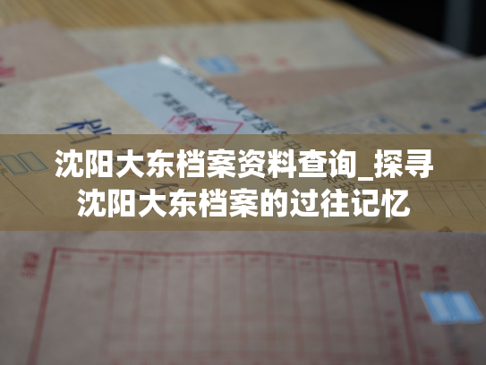 沈阳大东档案资料查询_探寻沈阳大东档案的过往记忆