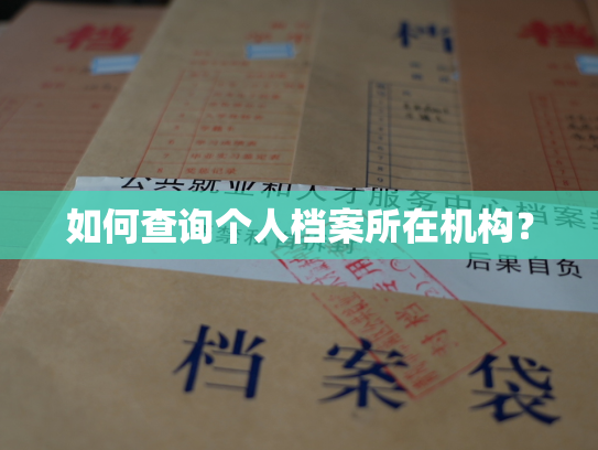 如何查询个人档案所在机构？
