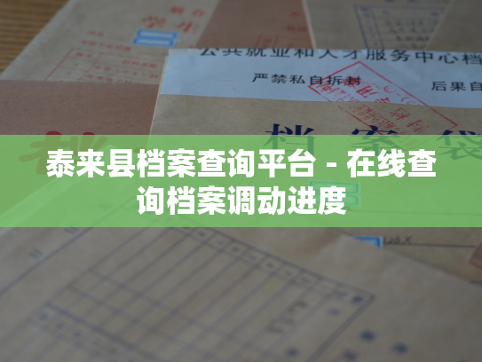 泰来县档案查询平台 - 在线查询档案调动进度