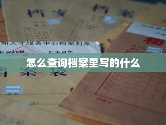 怎么查询档案里写的什么