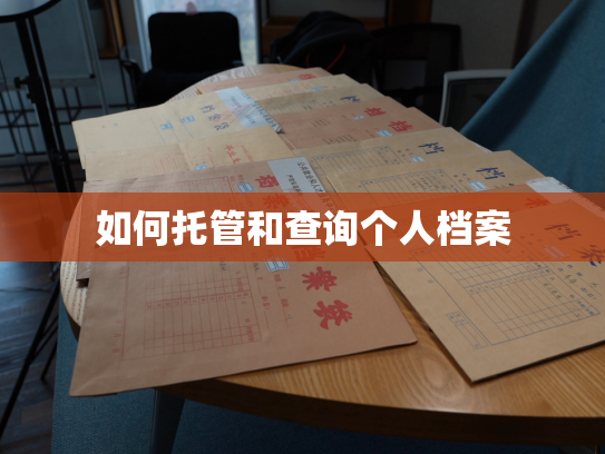 如何托管和查询个人档案