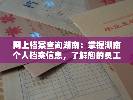 网上档案查询湖南：掌握湖南个人档案信息，了解您的员工生活状态