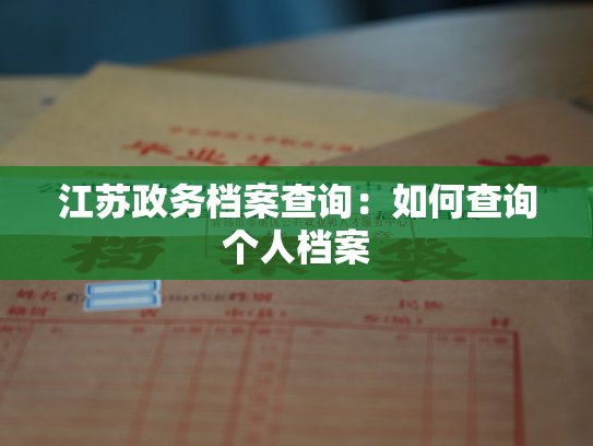 江苏政务档案查询：如何查询个人档案
