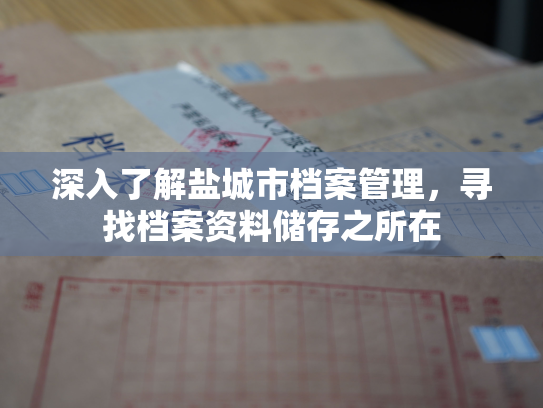 深入了解盐城市档案管理，寻找档案资料储存之所在