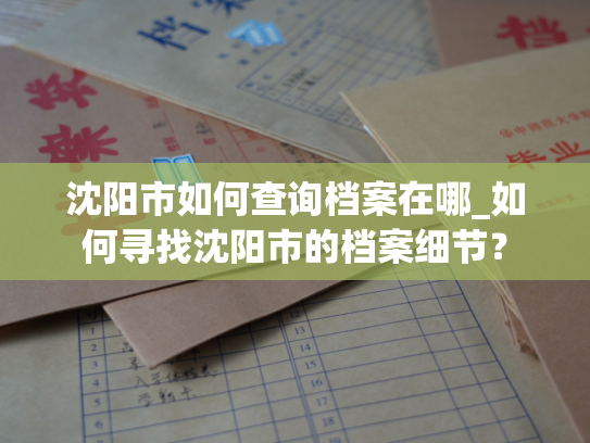 沈阳市如何查询档案在哪_如何寻找沈阳市的档案细节？