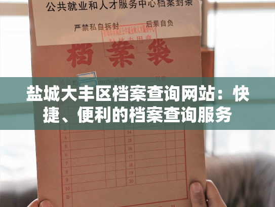 盐城大丰区档案查询网站：快捷、便利的档案查询服务