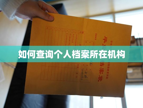 如何查询个人档案所在机构
