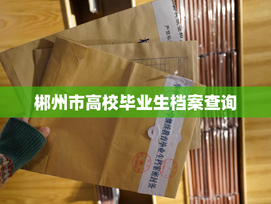 郴州市高校毕业生档案查询