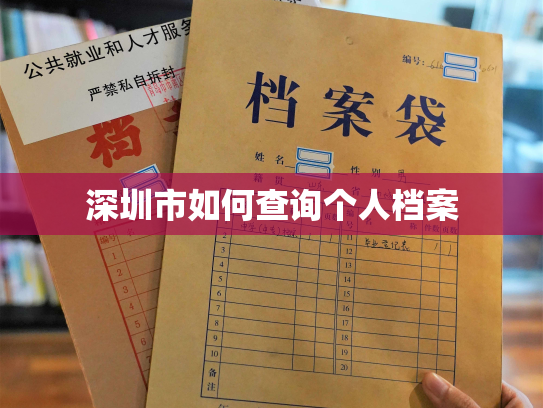 深圳市如何查询个人档案