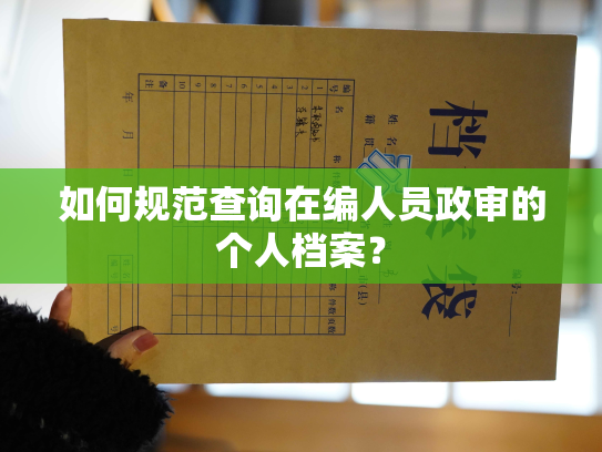 如何规范查询在编人员政审的个人档案？