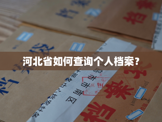 河北省如何查询个人档案？