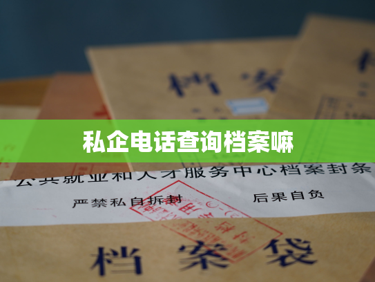 私企电话查询档案嘛