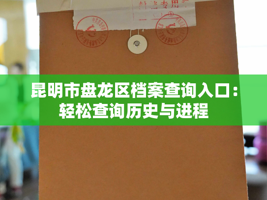 昆明市盘龙区档案查询入口：轻松查询历史与进程