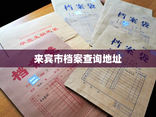 来宾市档案查询地址