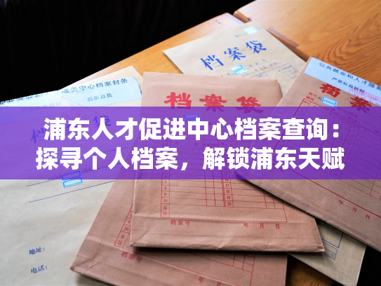 浦东人才促进中心档案查询：探寻个人档案，解锁浦东天赋