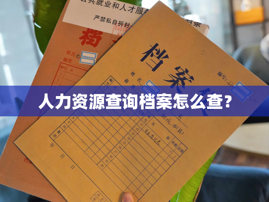 人力资源查询档案怎么查？