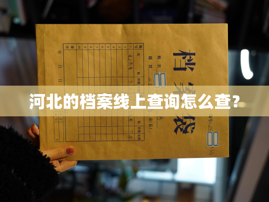 河北的档案线上查询怎么查？