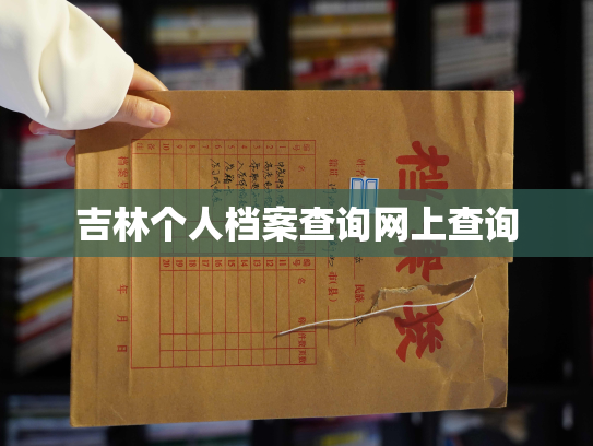 吉林个人档案查询网上查询