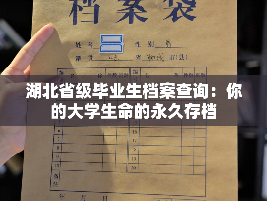 湖北省级毕业生档案查询：你的大学生命的永久存档