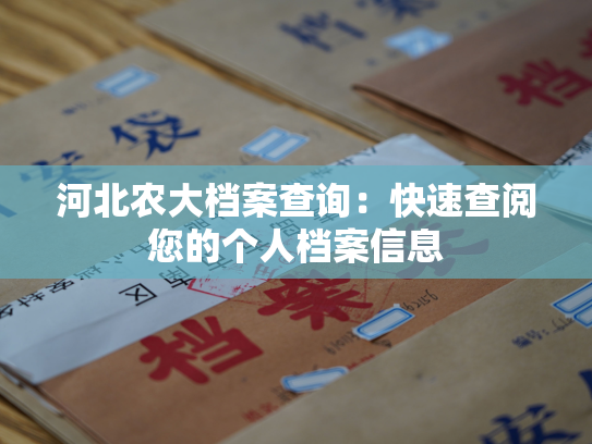 河北农大档案查询：快速查阅您的个人档案信息