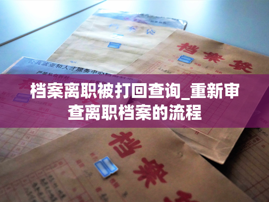 档案离职被打回查询_重新审查离职档案的流程