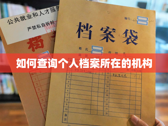 如何查询个人档案所在的机构