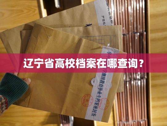 辽宁省高校档案在哪查询？