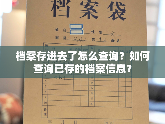 档案存进去了怎么查询？如何查询已存的档案信息？