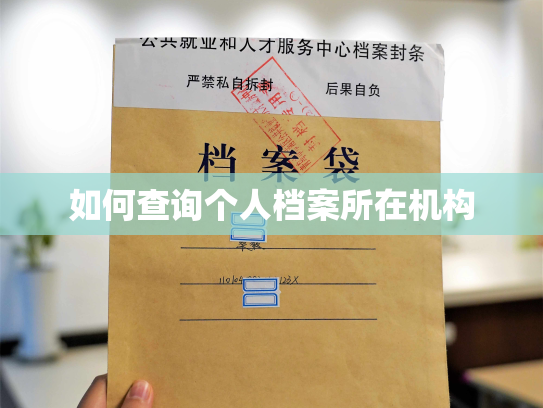 如何查询个人档案所在机构