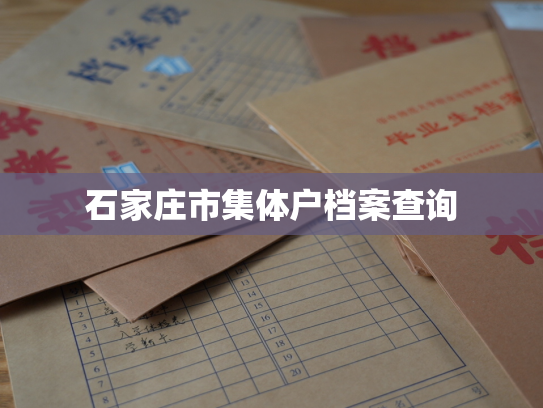 石家庄市集体户档案查询