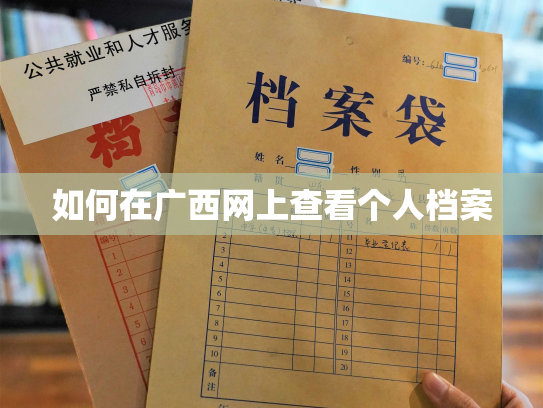 如何在广西网上查看个人档案