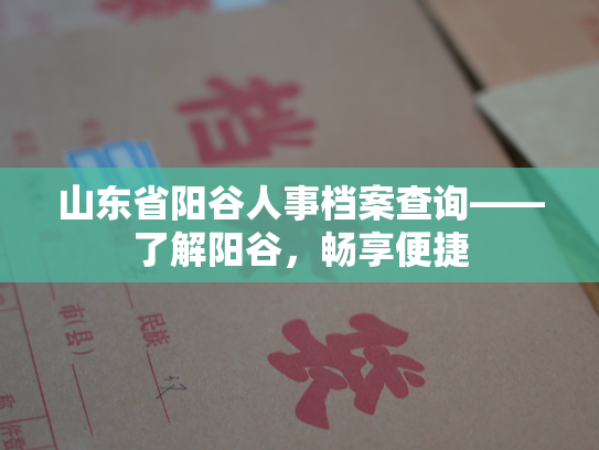 山东省阳谷人事档案查询——了解阳谷，畅享便捷