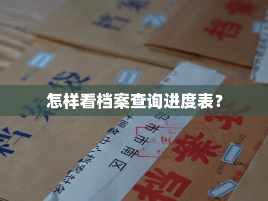 怎样看档案查询进度表？