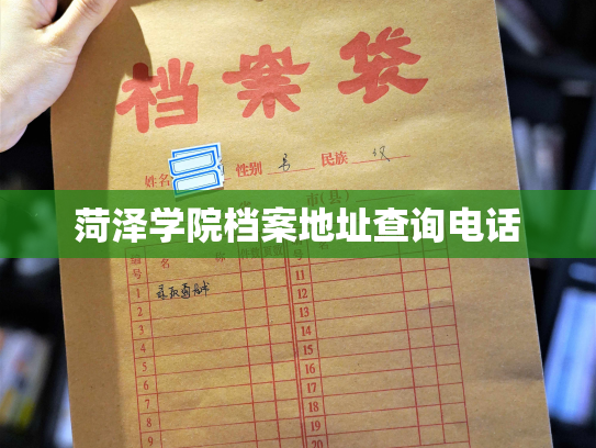 菏泽学院档案地址查询电话