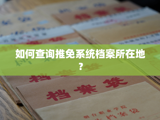 如何查询推免系统档案所在地？