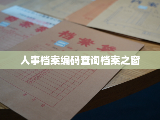 人事档案编码查询档案之窗