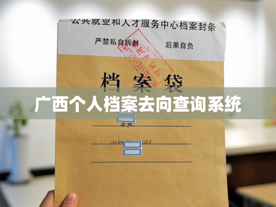 广西个人档案去向查询系统