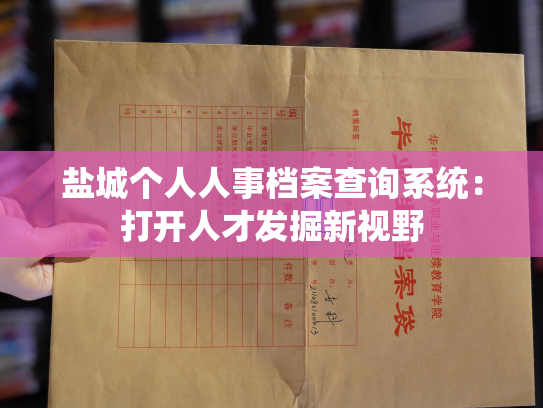 盐城个人人事档案查询系统：打开人才发掘新视野